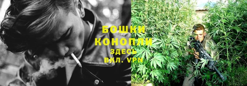 Шишки марихуана OG Kush  Светлоград 